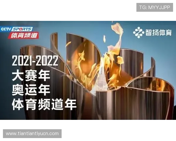 三亿体育平台如何通过创新技术提升用户体育体验与互动参与度