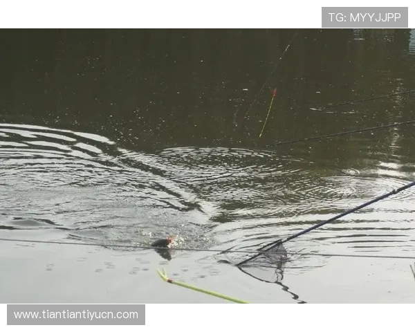 爱体育官网地址安全指南，确保玩家在访问过程中避免钓鱼和诈骗风险